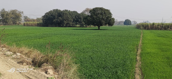  Agricultural Land for Sale in Meerut Road, Baghpat
