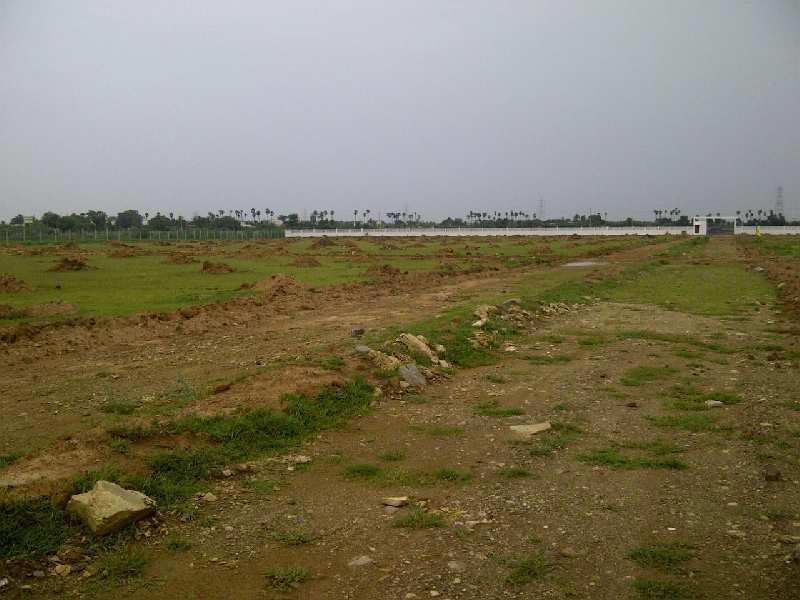 Agricultural Land 45000 Sq.ft. for Sale in Kokta Bypass Rd, Bhopal