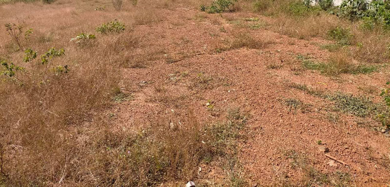 1-guntha-residential-plot-for-sale-in-sirsi-uttara-kannada-rei1061594