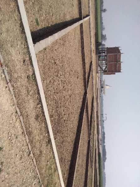  Residential Plot 1000 Sq.ft. for Sale in Phulpur, Allahabad