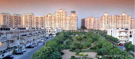 3 BHK Flat for Rent in DLF Phase V, Gurgaon