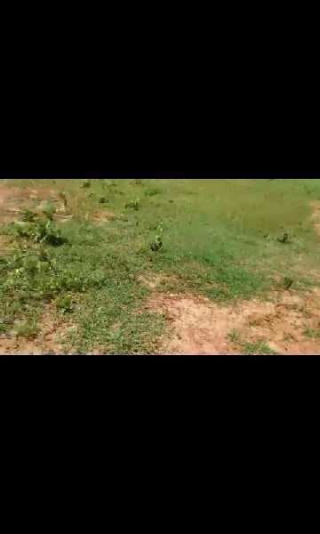  Residential Plot 332 Sq. Yards for Sale in Anandapuram, Visakhapatnam