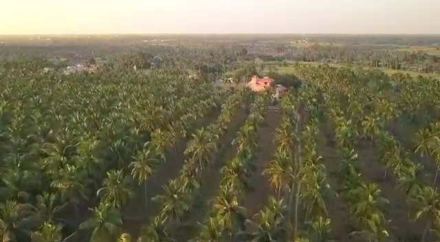 Agricultural Land 50 Acre for Sale in Chinna Dharapuram, Karur
