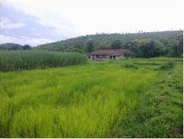  Agricultural Land for Sale in Bailhongal, Belgaum