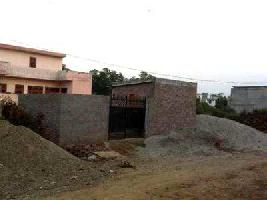  Residential Plot for Sale in Gurdev Nagar, Ludhiana
