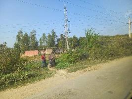  Agricultural Land for Sale in Gosainganj, Lucknow