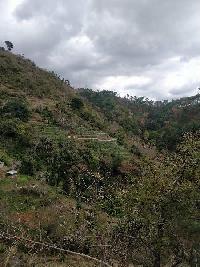  Agricultural Land for Sale in Bhagtan, Sirmaur, Shimla