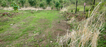  Residential Plot for Sale in Murbad, Thane