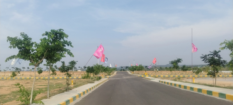  Residential Plot 167 Sq.ft. for Sale in Kadthal, Hyderabad