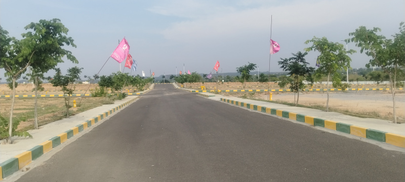  Residential Plot 167 Sq.ft. for Sale in Kadthal, Hyderabad