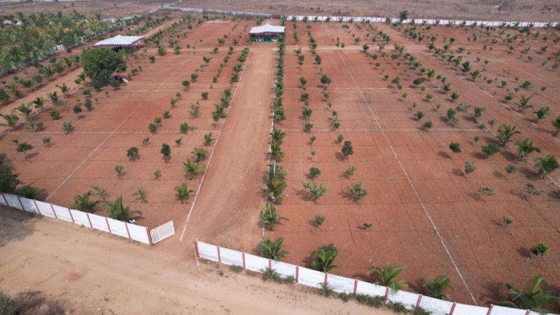  Residential Plot 242 Sq. Yards for Sale in Sri Sailam Highway, Hyderabad