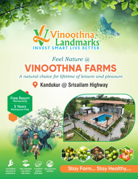  Agricultural Land for Sale in Mucherla, Hyderabad