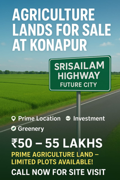  Residential Plot 1 Acre for Sale in Srisailam Highway, Hyderabad