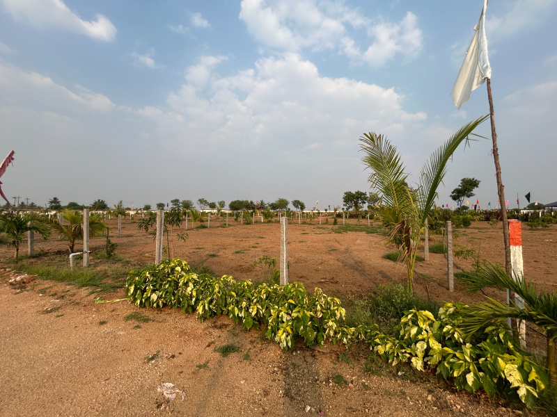  Agricultural Land 606 Sq. Yards for Sale in Amangal, Hyderabad