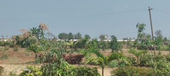  Agricultural Land for Sale in Amangal, Hyderabad