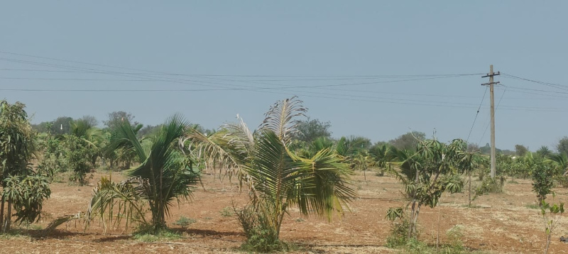 Residential Plot 606 Sq. Yards for Sale in Shri Sailam Highway, Hyderabad