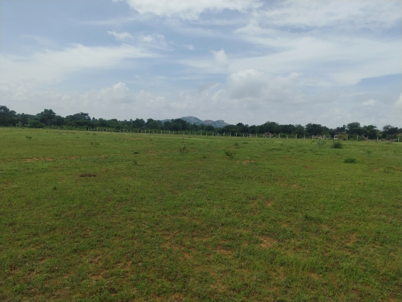  Agricultural Land 1 Ares for Sale in Kadthal, Hyderabad