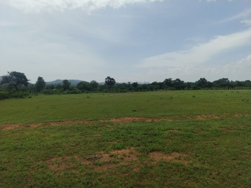  Agricultural Land 1 Ares for Sale in Kadthal, Hyderabad