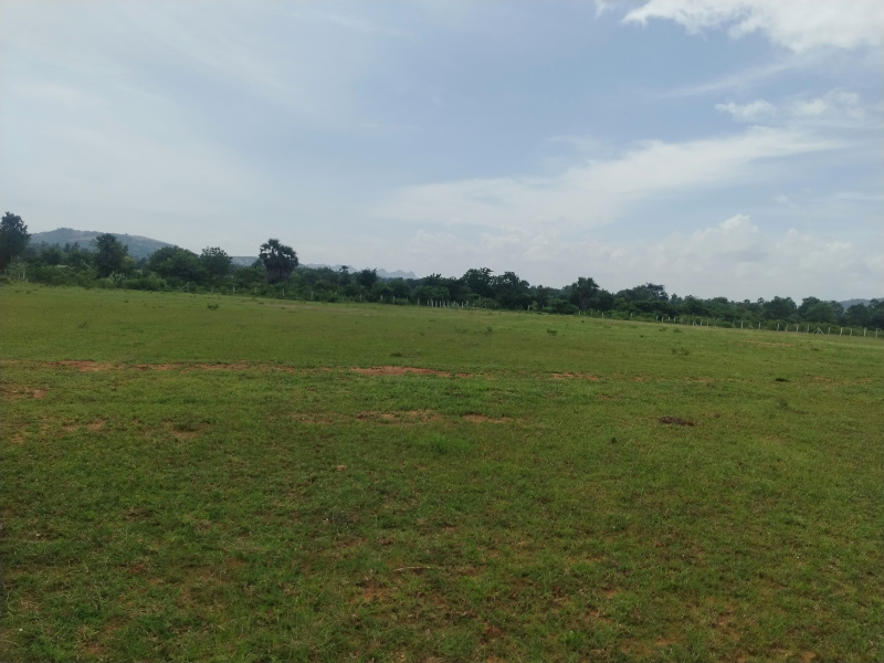  Residential Plot 1 Acre for Sale in Mucherla, Hyderabad