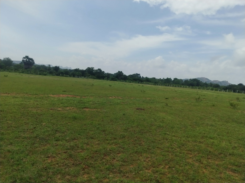  Residential Plot 1 Acre for Sale in Mucherla, Hyderabad