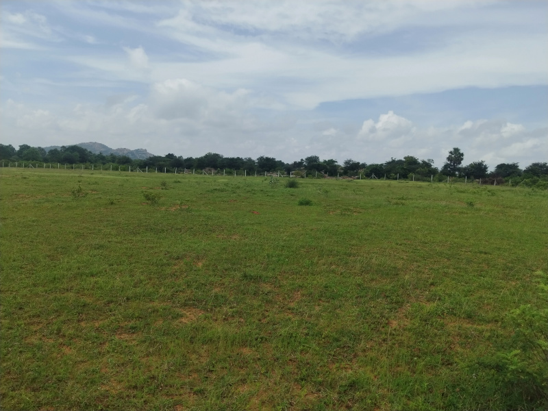 Residential Plot 1 Acre for Sale in Mucherla, Hyderabad
