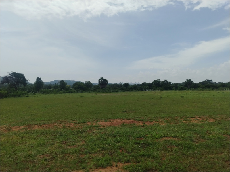  Agricultural Land 16 Ares for Sale in Kadthal, Hyderabad
