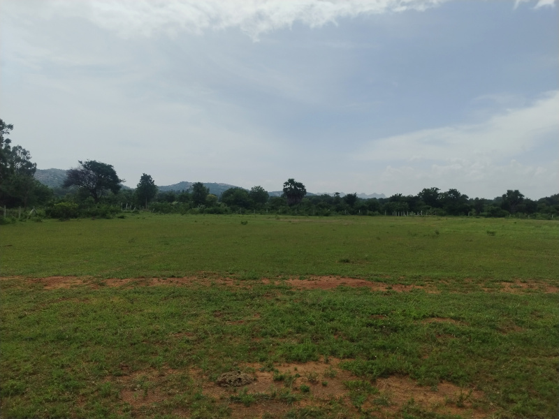  Agricultural Land 16 Ares for Sale in Kadthal, Hyderabad