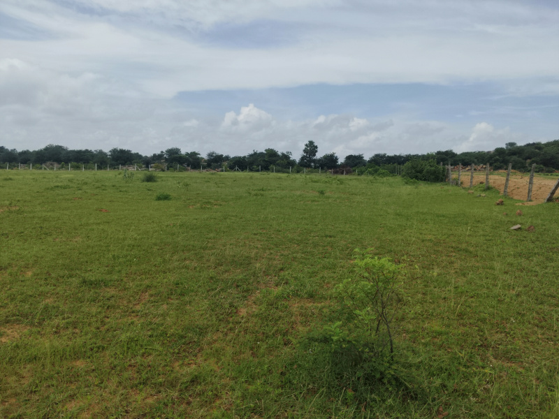  Residential Plot 1 Acre for Sale in Srisailam Highway, Hyderabad
