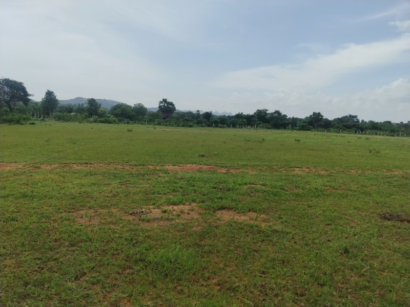  Residential Plot 606 Sq.ft. for Sale in Amangal, Hyderabad