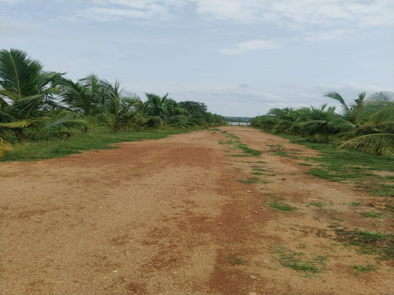  606 Sq. Yards Residential Plot for Sale in Thummaloor, Hyderabad