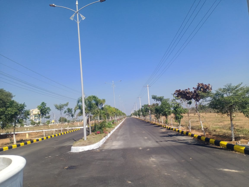  Agricultural Land 200 Sq. Yards for Sale in Sri Sailam Highway, Hyderabad
