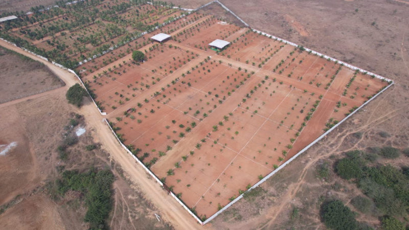  606 Sq.ft. Residential Plot for Sale in Mucherla, Hyderabad