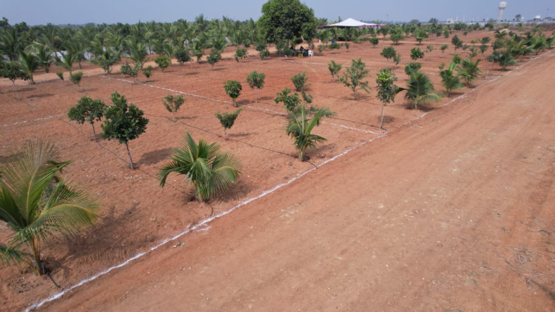  606 Sq.ft. Residential Plot for Sale in Mucherla, Hyderabad