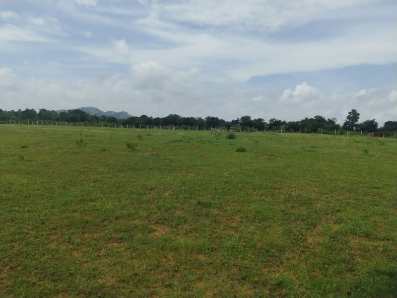  Agricultural Land 10 Acre for Sale in Kandukuru, Hyderabad