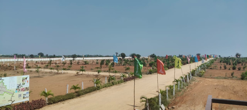  606 Sq. Yards Residential Plot for Sale in Kadthal, Hyderabad