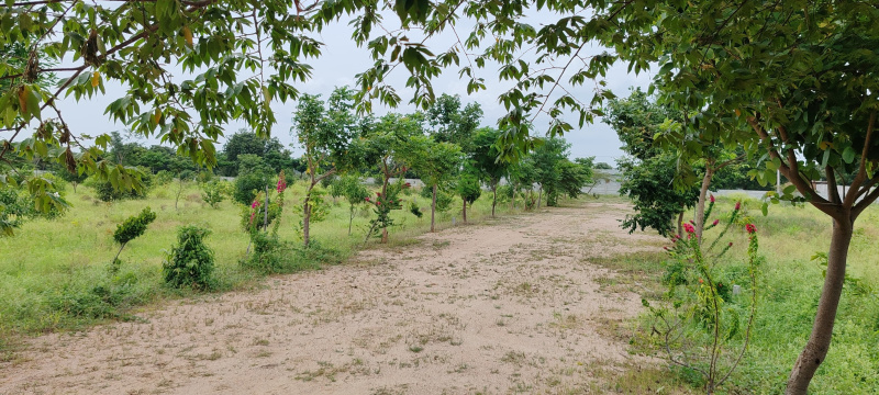  606 Sq. Yards Residential Plot for Sale in Bibi Nagar, Hyderabad