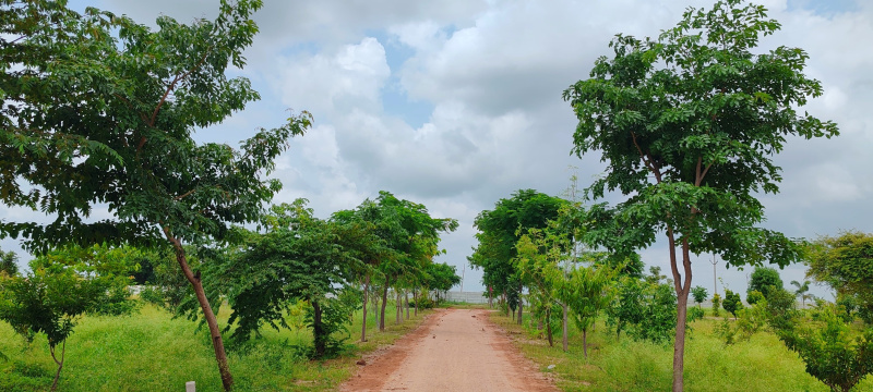  606 Sq. Yards Residential Plot for Sale in Bibi Nagar, Hyderabad