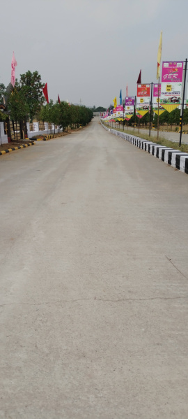  5 Ares Agricultural/Farm Land for Sale in Shadnagar, Hyderabad