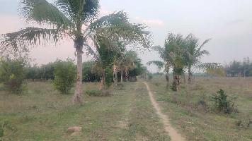  Agricultural Land for Sale in Abhanpur, Raipur