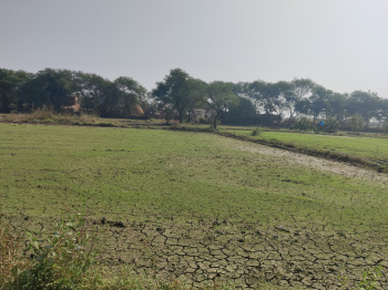  Agricultural Land for Sale in Jagdalpur, Bastar