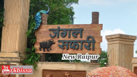  Residential Plot for Sale in Abhanpur, Raipur