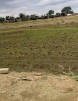  Industrial Land for Sale in Tilda, Raipur