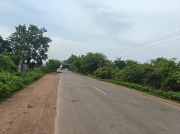  Commercial Land for Sale in Nawapara Rajim, Raipur