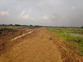  Commercial Land for Sale in Dhaneli, Raipur