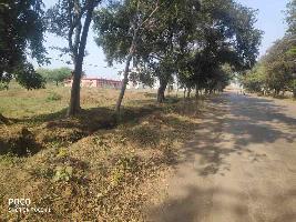  Commercial Land for Sale in Dharsiwa, Raipur