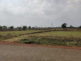  Agricultural Land for Sale in Dharsiwa, Raipur