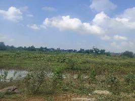  Agricultural Land for Sale in Pirda, Raipur