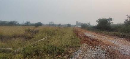  Agricultural Land for Sale in Saddu, Raipur