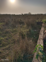  Residential Plot for Sale in Chandaka, Bhubaneswar