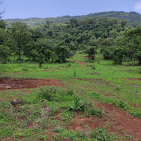  Commercial Land for Sale in Hinjewadi Phase 1, Pune